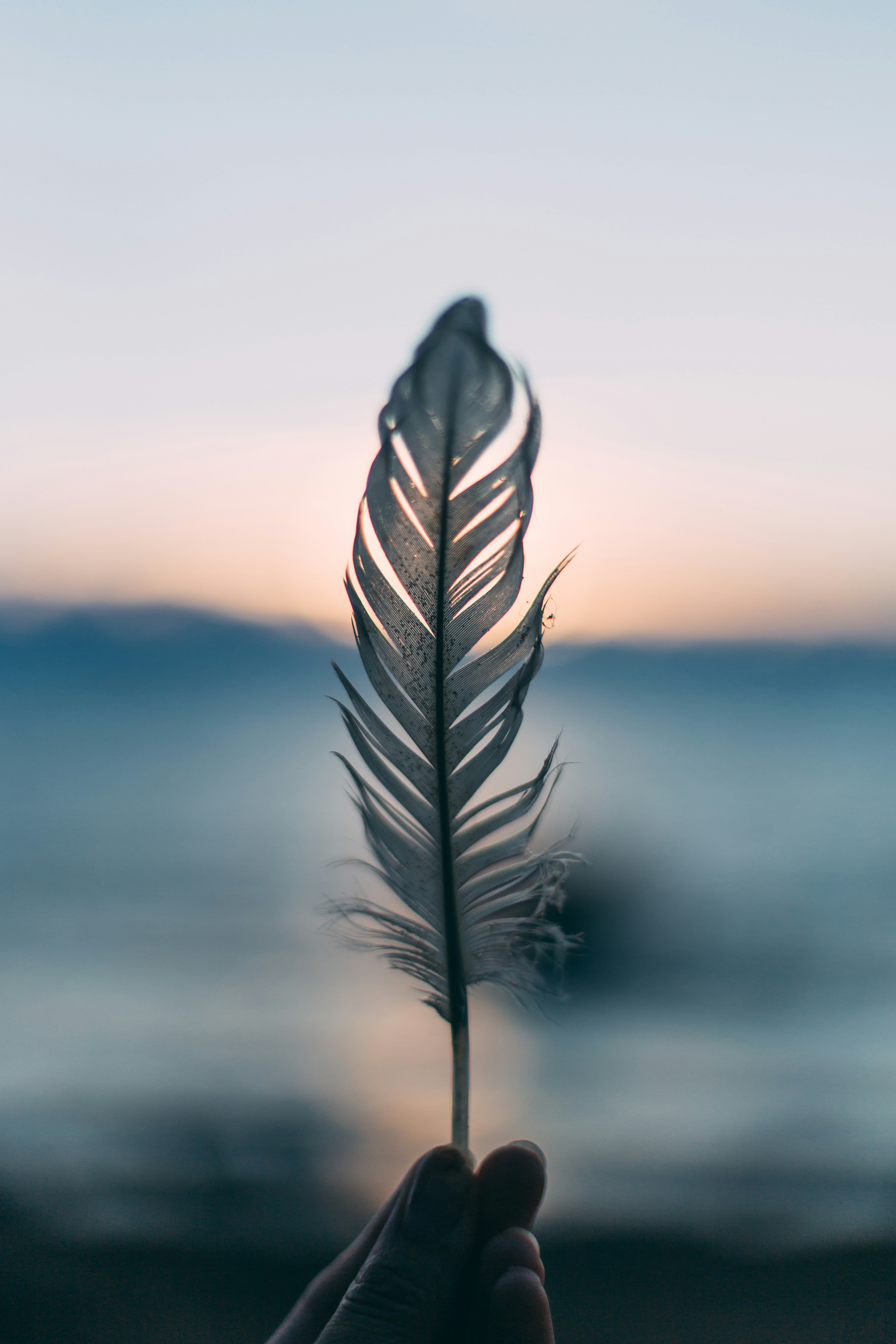 A single feather held to the horizon at dusk.