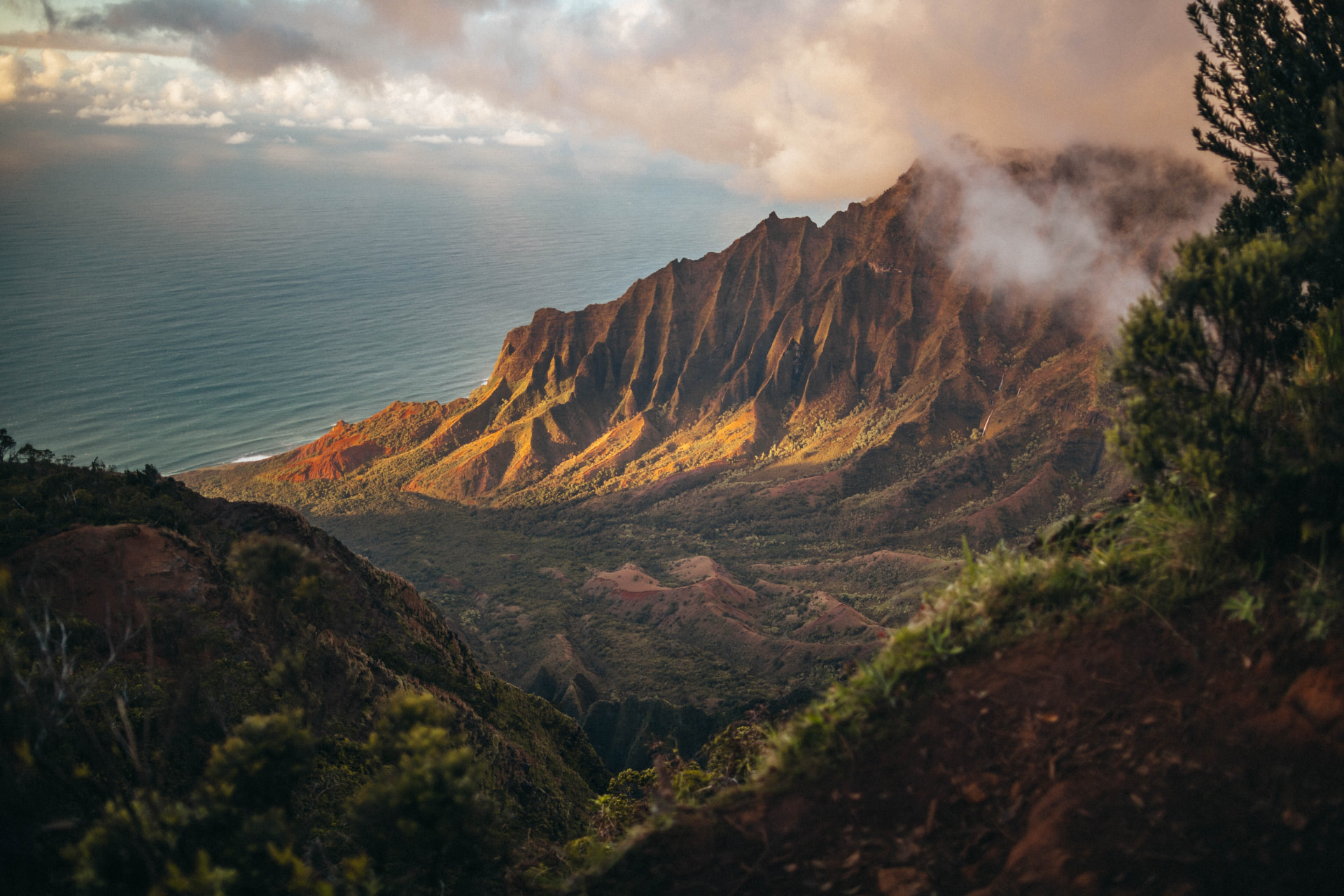 Sunlit sea cliffs rising above the Pacific at golden hour.